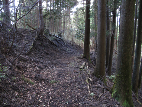 20161216hike (328)